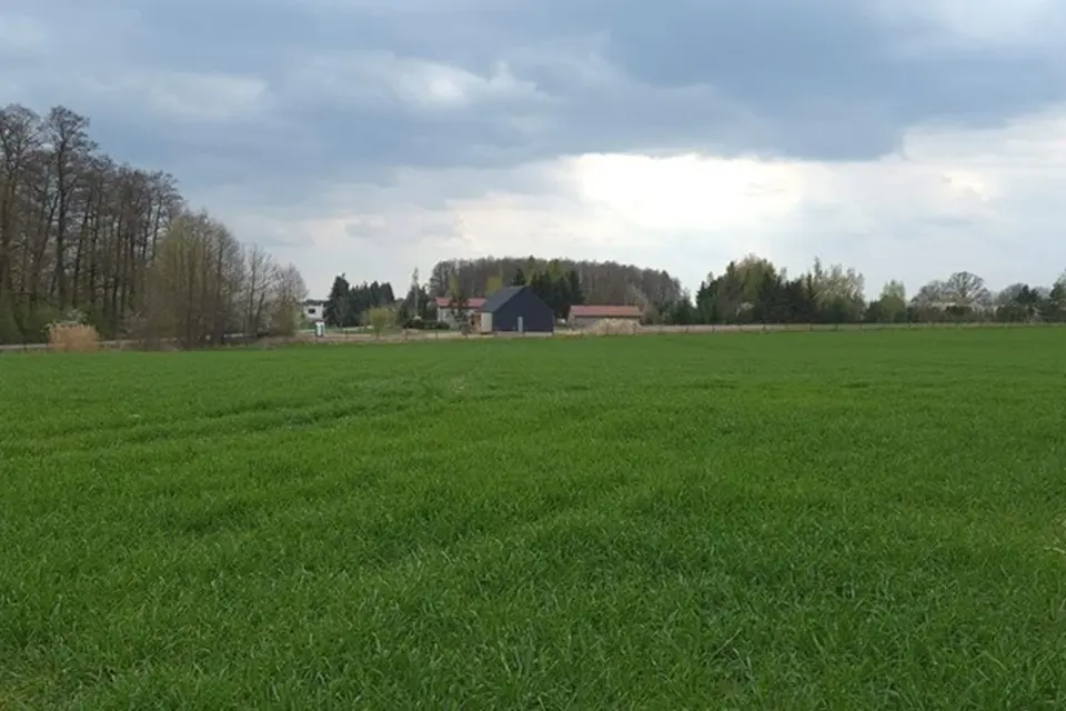 Dzialka Budowlana – Miszewko Strzałkowskie
