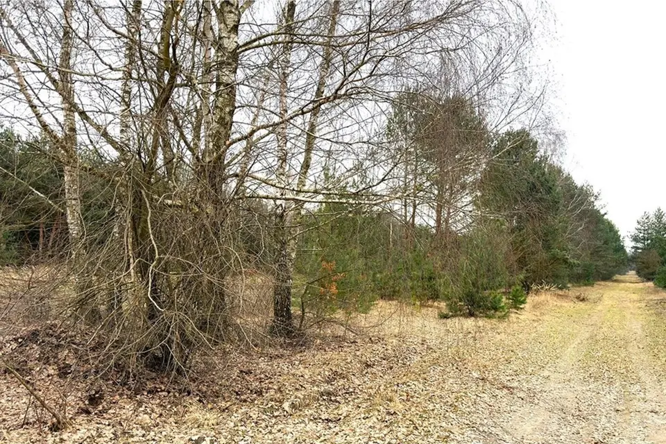 Dzialka – Strobów