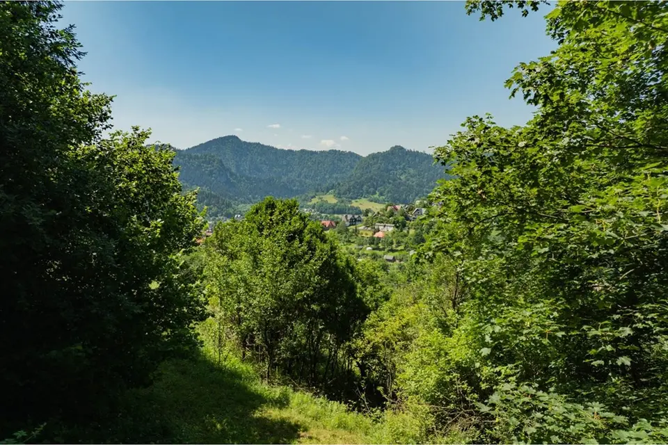 Dzialka – Szczawnica