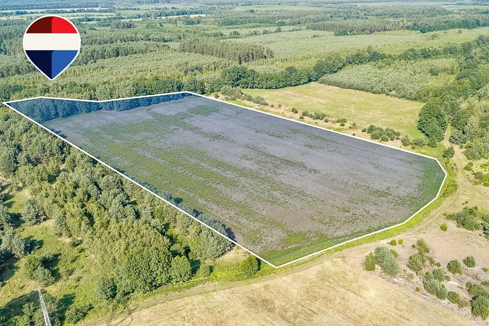 Dzialka – Zielona Góra