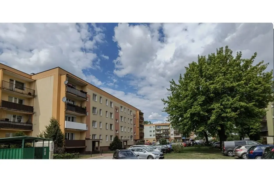 UMOWA NA WYŁĄCZNOŚĆ - KUPUJĄCY NIE PŁACI WYNAGRODZENIA! – Nowy Dwór Mazowiecki