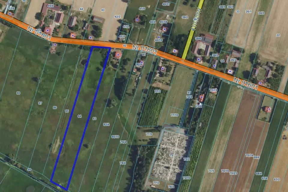 Dzialka – Kampinos
