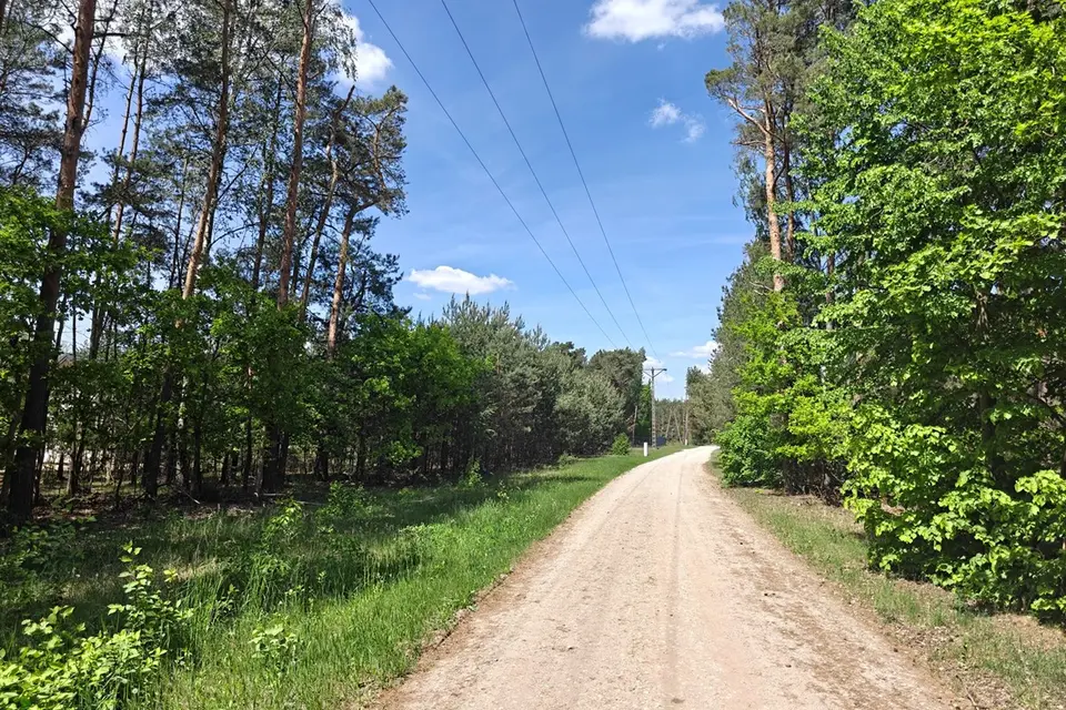 Dzialka – Krzyżówka