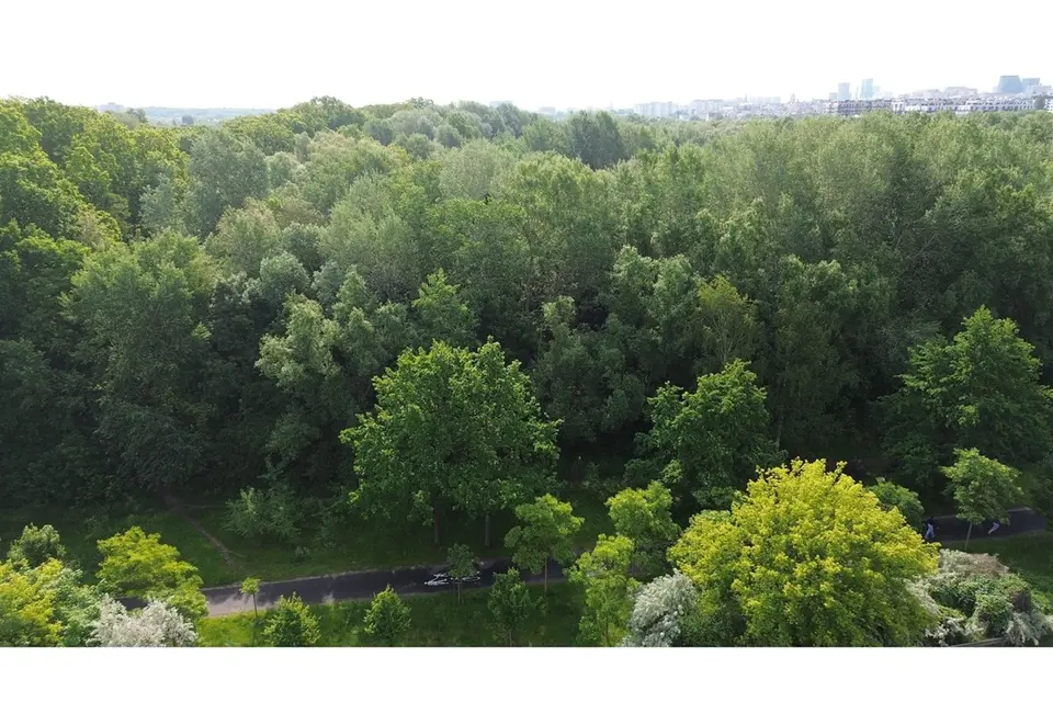 Na sprzedaż udziały 50% w działce w okolicach ulicy Litewskiej w Poznaniu, 849 m2. – Poznań