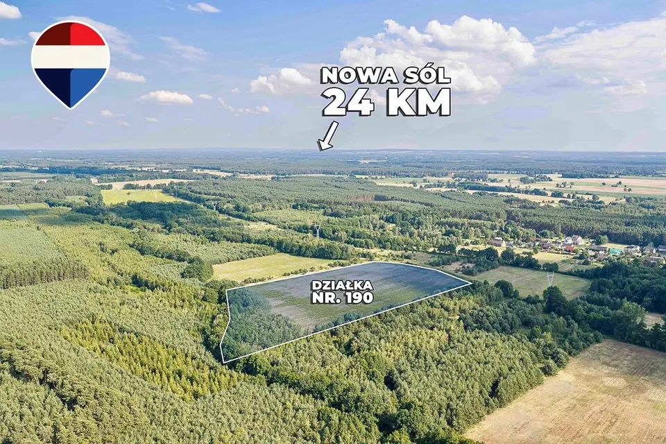 Dzialka – Zielona Góra