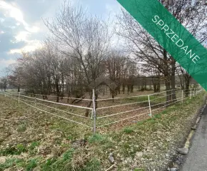 Gmina Czernichów, Dąbrowa Szlachecka