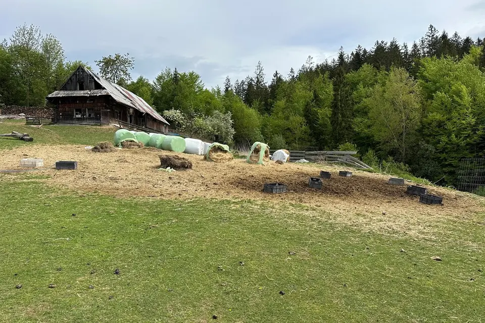 Dom Wolnostojacy – Istebna