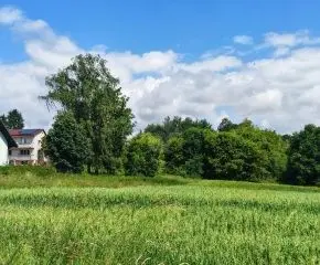 DZIAŁKA INWESTYCYJNA 5 500 m² |KRAKÓW - OLSZANICA