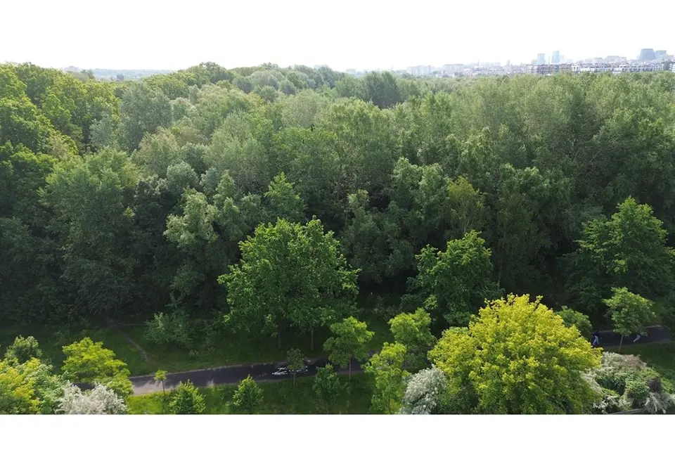 Na sprzedaż działka w okolicach ulicy Litewskiej w Poznaniu, 849 m2. – Poznań
