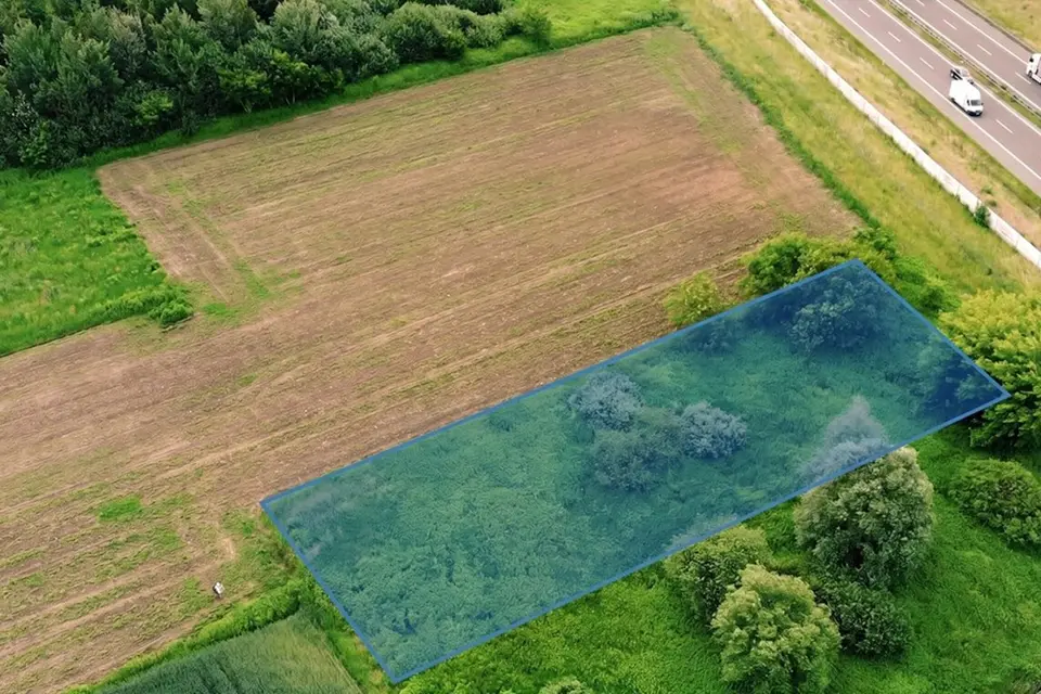 Dzialka – Kłaj